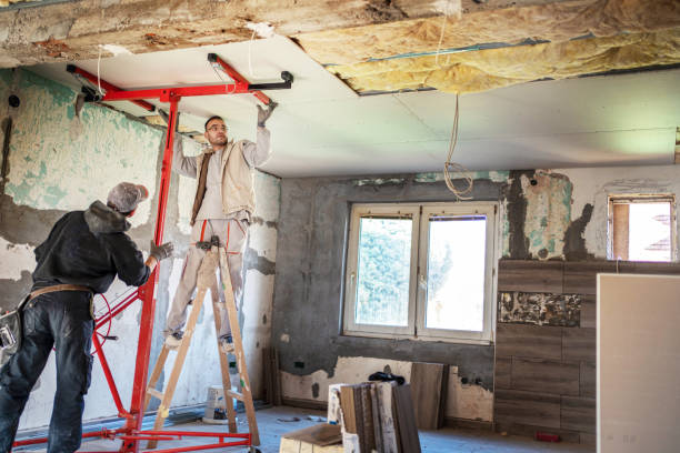 Best Cellulose Insulation in Potterville, MI