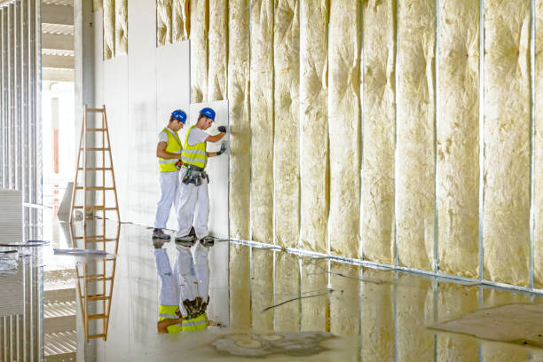 Best Insulation for Specific Applications in Potterville, MI